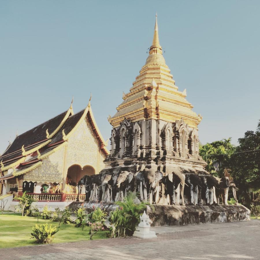 Pinghostel Chiang Mai Luaran gambar